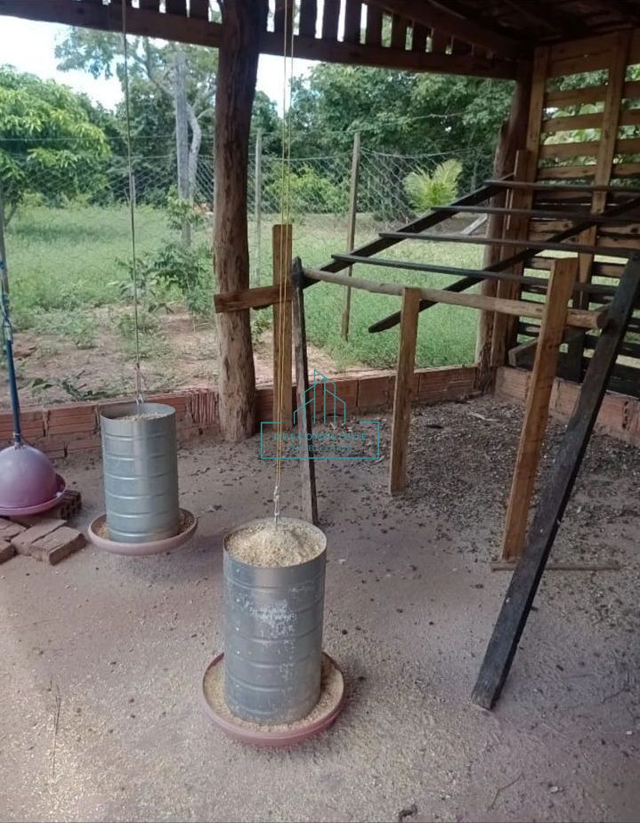 Chácara à venda com 2 quartos, 10000m² - Foto 18