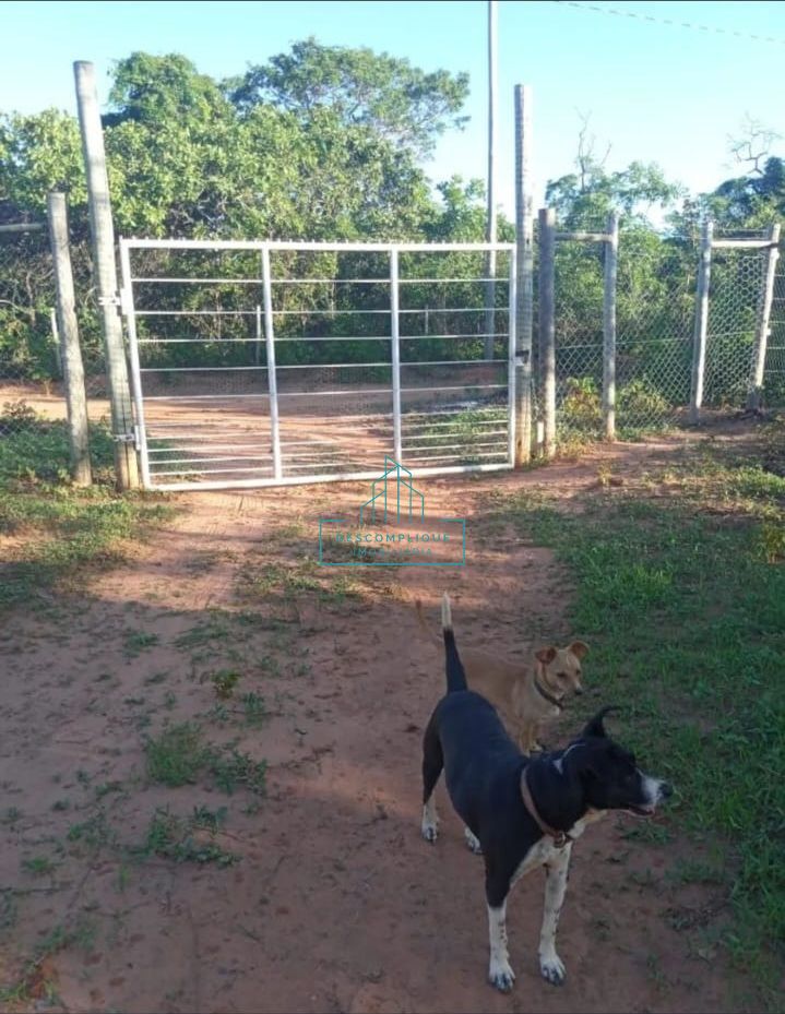 Chácara à venda com 3 quartos, 2500m² - Foto 11