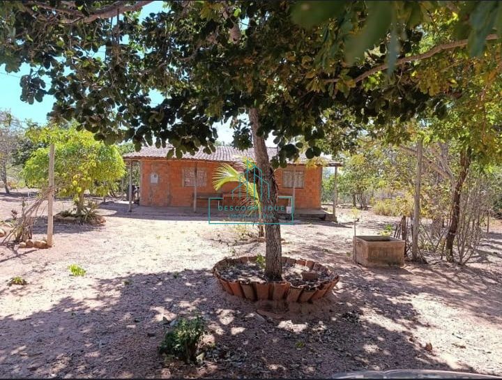 Chácara à venda com 2 quartos, 10000m² - Foto 16