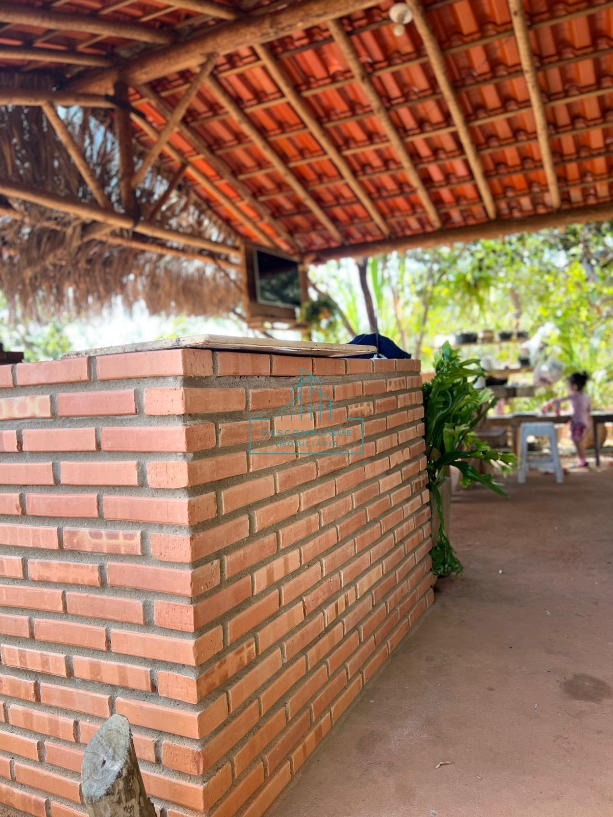 Chácara à venda com 2 quartos, 2999m² - Foto 20