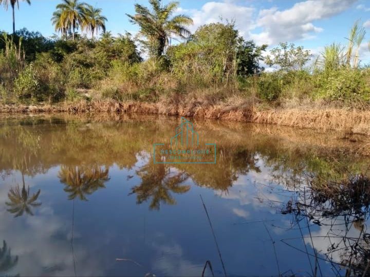 Fazenda à venda com 3 quartos, 4974068m² - Foto 4