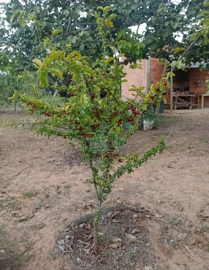 Chácara à venda com 2 quartos, 10000m² - Foto 8