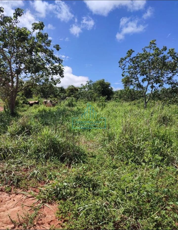 Chácara à venda com 2 quartos, 20000m² - Foto 2