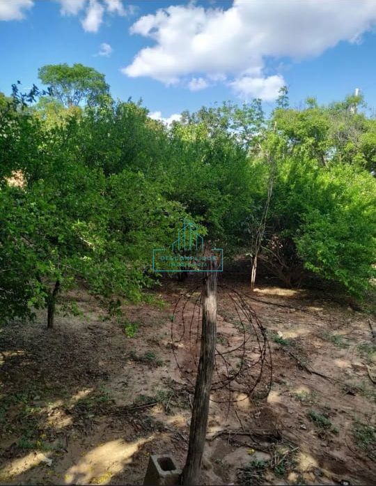 Chácara à venda com 2 quartos, 7000m² - Foto 7