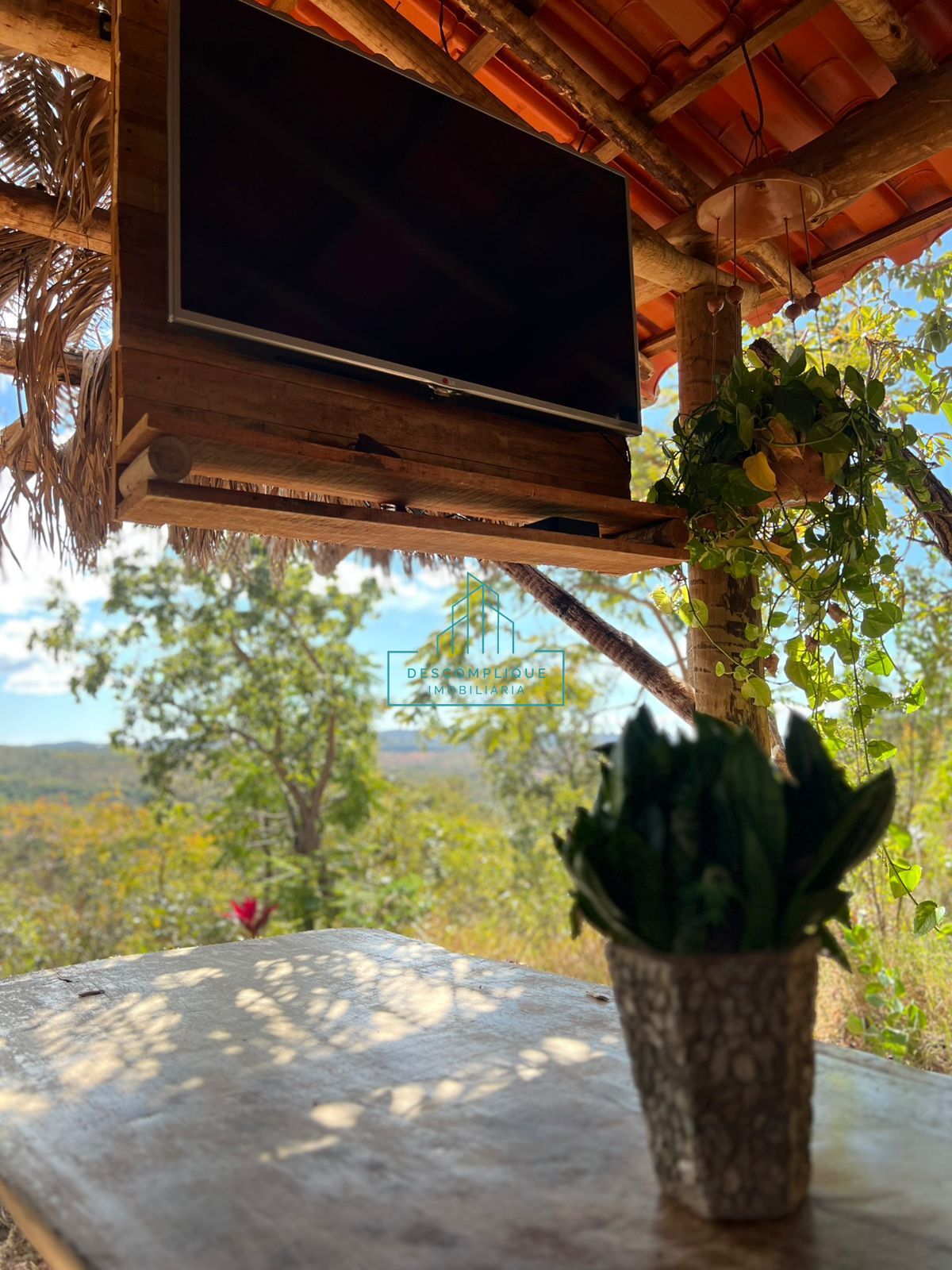 Chácara à venda com 2 quartos, 2999m² - Foto 23