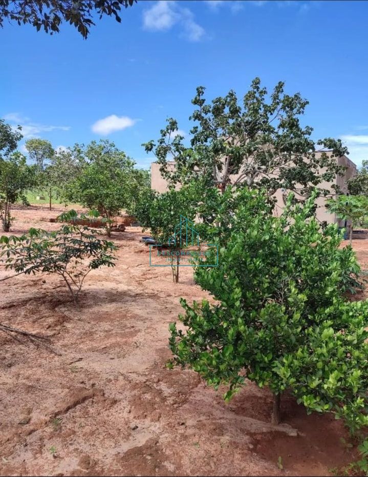 Chácara à venda com 2 quartos, 20000m² - Foto 18