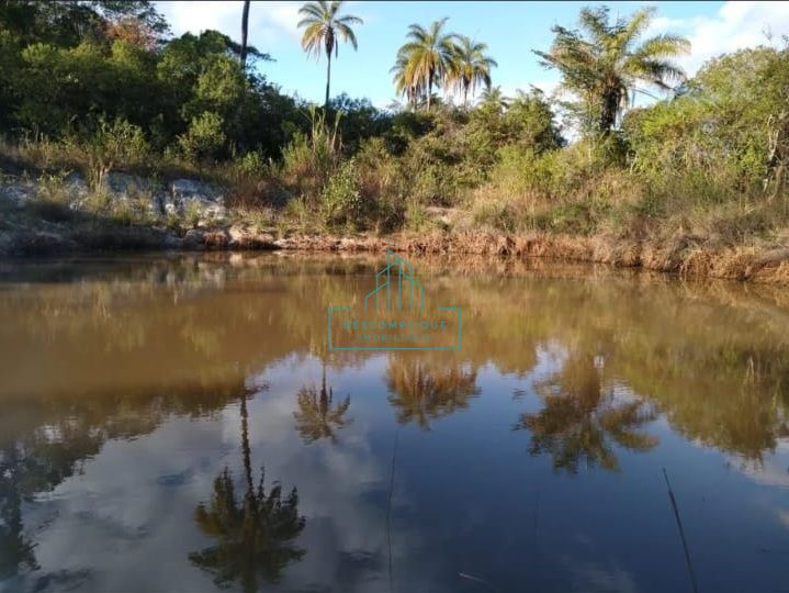 Fazenda à venda com 3 quartos, 4974068m² - Foto 8