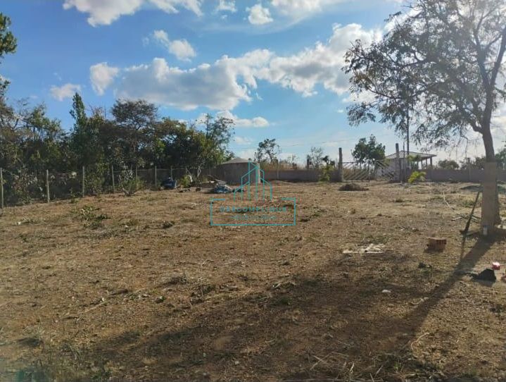 Chácara à venda com 2 quartos, 7000m² - Foto 3