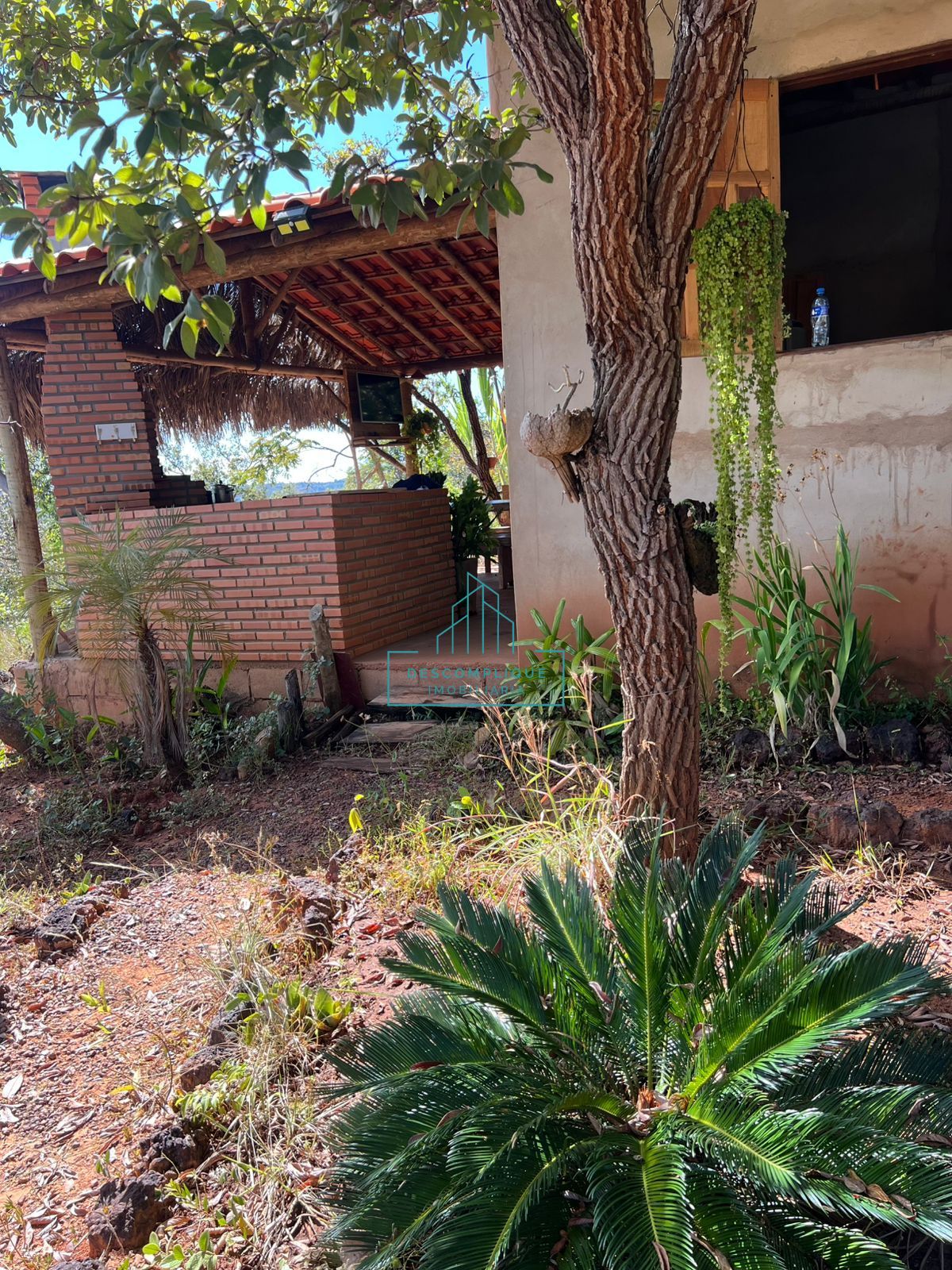 Chácara à venda com 2 quartos, 2999m² - Foto 8