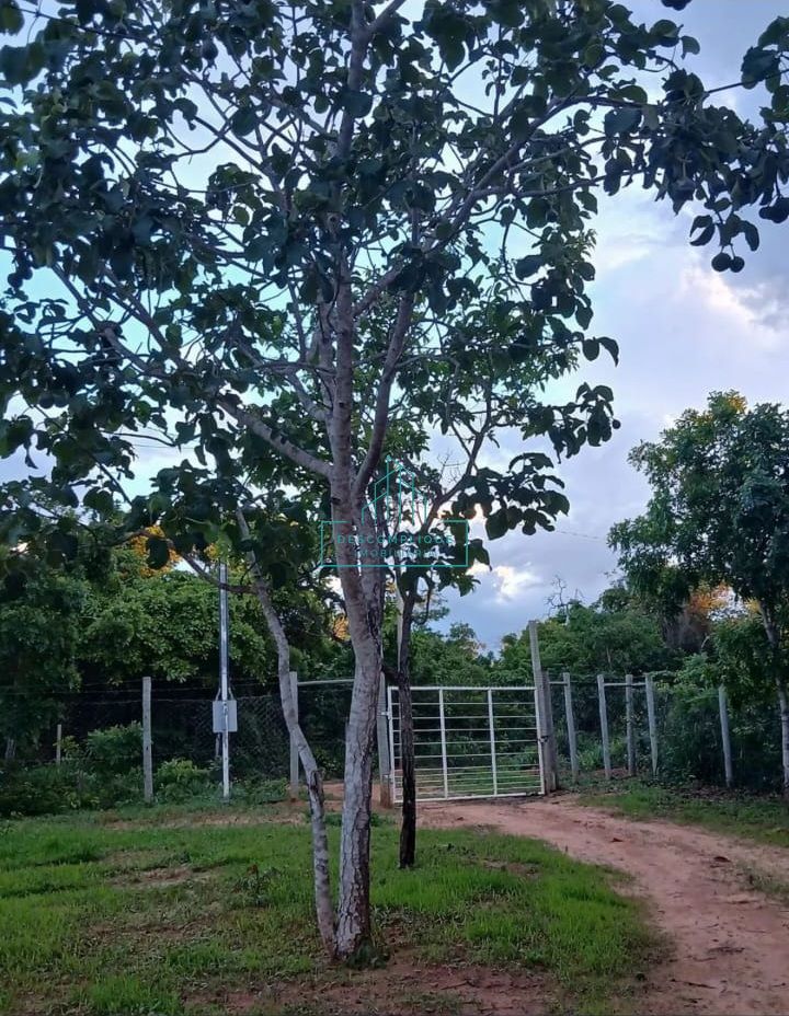 Chácara à venda com 3 quartos, 2500m² - Foto 4