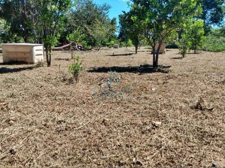 Chácara à venda com 2 quartos, 10000m² - Foto 2
