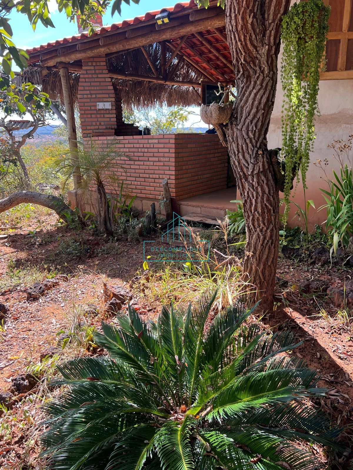 Chácara à venda com 2 quartos, 2999m² - Foto 13