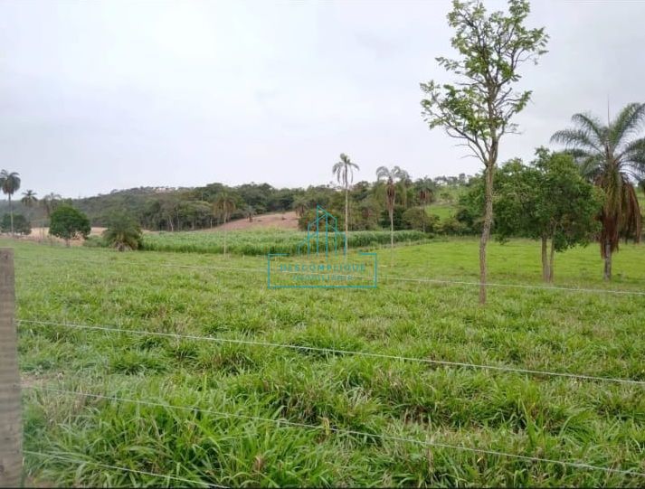 Fazenda à venda com 3 quartos, 4974068m² - Foto 15