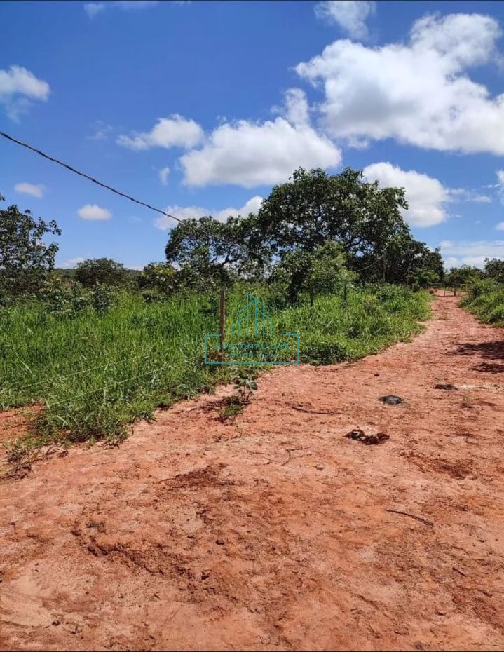 Chácara à venda com 2 quartos, 20000m² - Foto 6