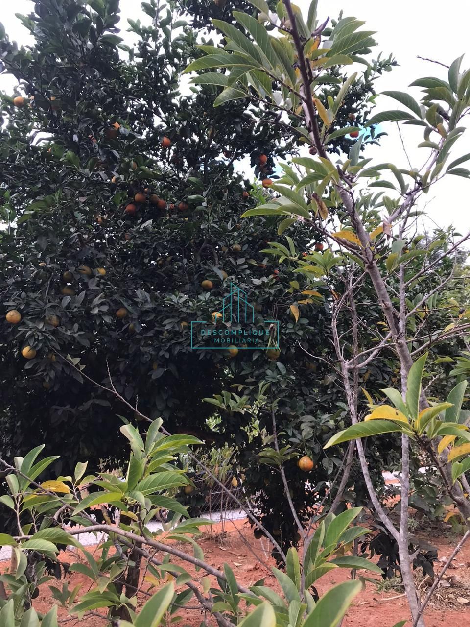 Chácara à venda com 2 quartos, 2000m² - Foto 12