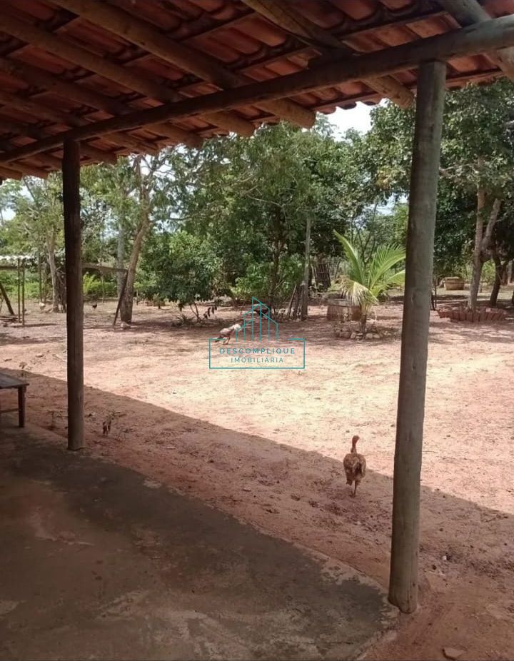 Chácara à venda com 2 quartos, 10000m² - Foto 6