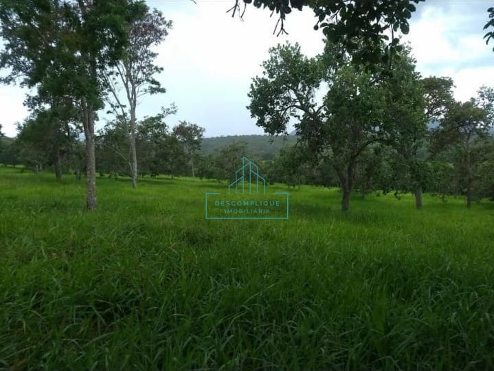 Fazenda à venda com 3 quartos, 4974068m² - Foto 12