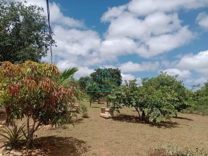 Chácara à venda com 2 quartos, 10000m² - Foto 5
