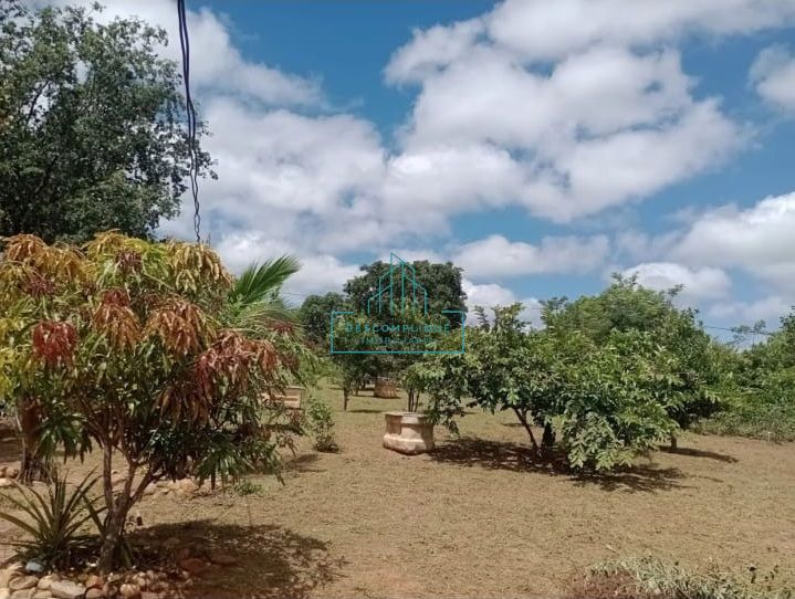Chácara à venda com 2 quartos, 10000m² - Foto 20