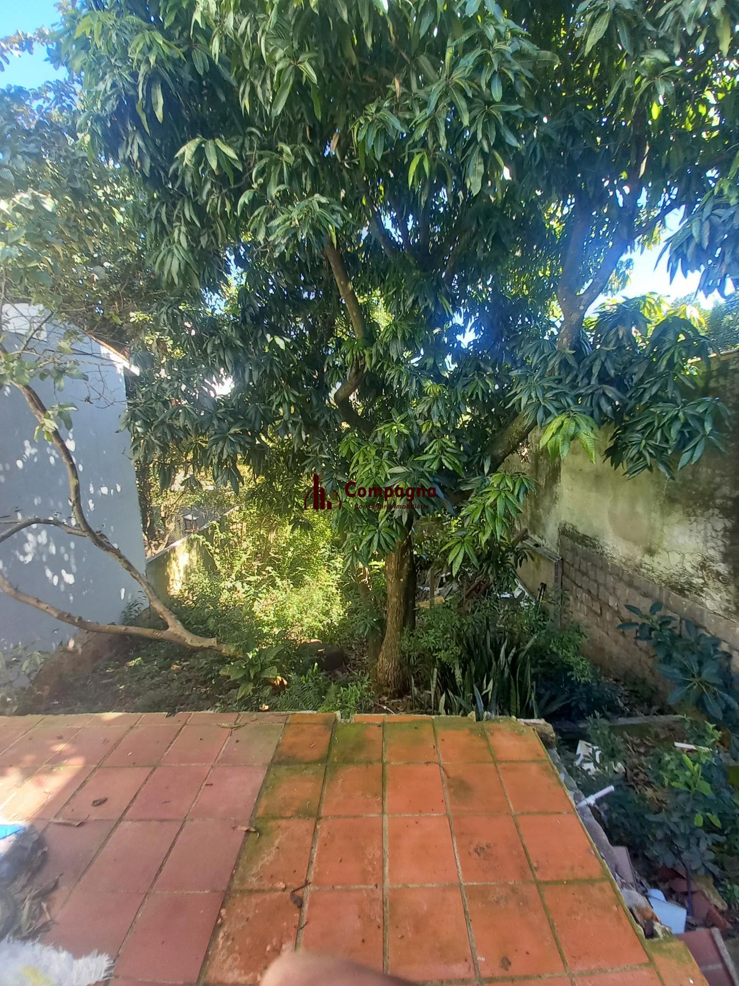 Casa/Terreno - — foto 4