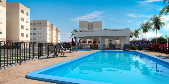 1682163.jpg