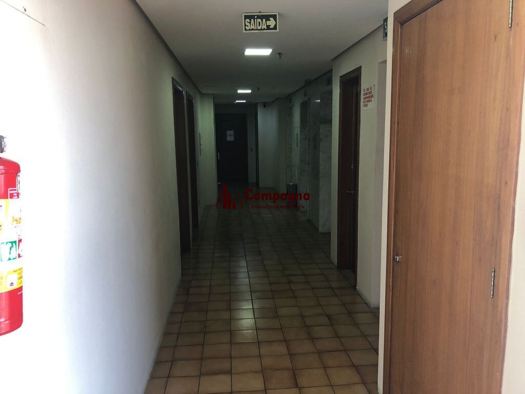 1236039.jpg