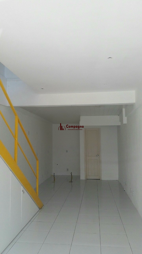 2477094.jpeg