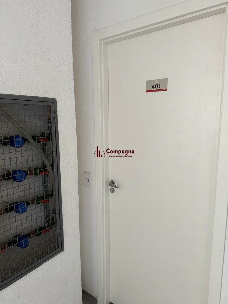 2444963.jpeg