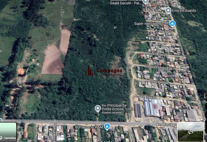 Terreno no Bairro Ponta Grossa com 17 Hectares — foto 2