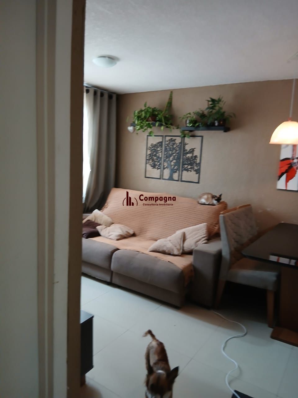 Apartamento 2 dormitórios 1 vaga para carro, Bairro Sarandi