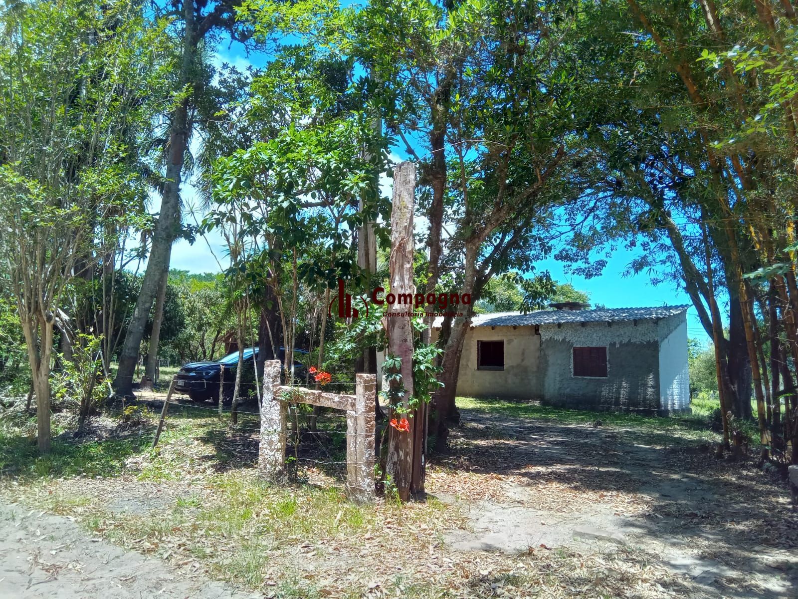 Lindo Sitio com 13 mil metros com casa ! — foto 2