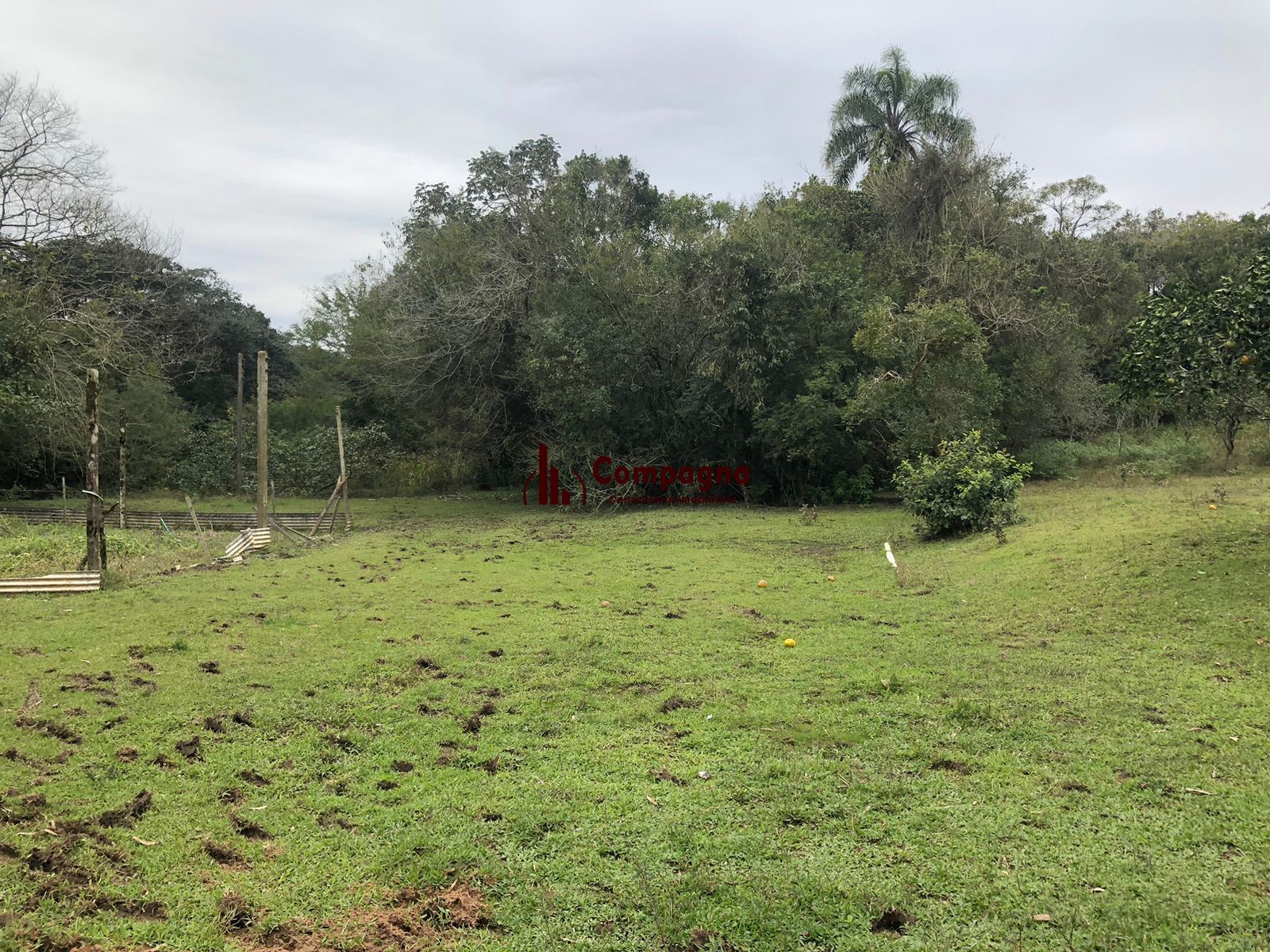 Sítio Rural de 121.672,00 M² no Bairro Belém Velho Poa-RS — foto 2