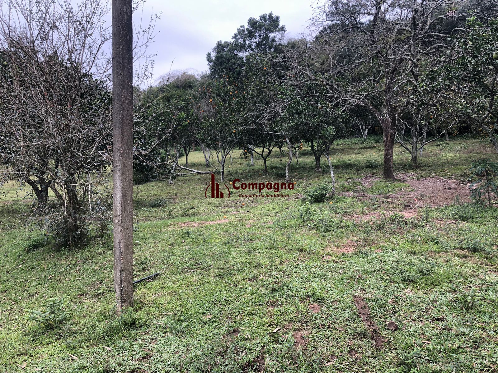 Sítio Rural de 121.672,00 M² no Bairro Belém Velho Poa-RS — foto 4