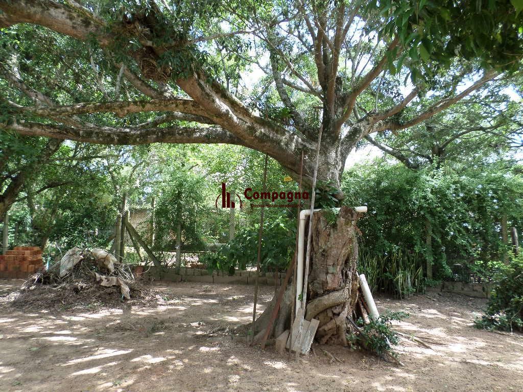 Terreno no Lami — foto 4