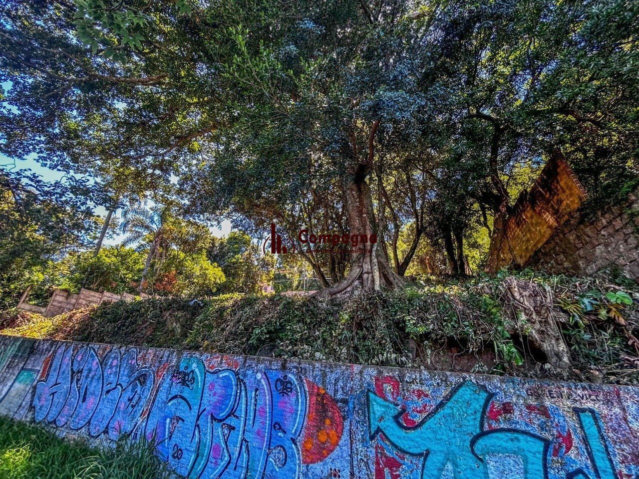 Terreno à venda, Ipanema - Porto Alegre — foto 5
