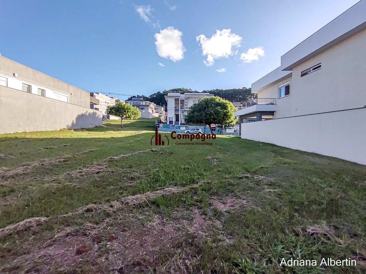 Lote plano — foto 4