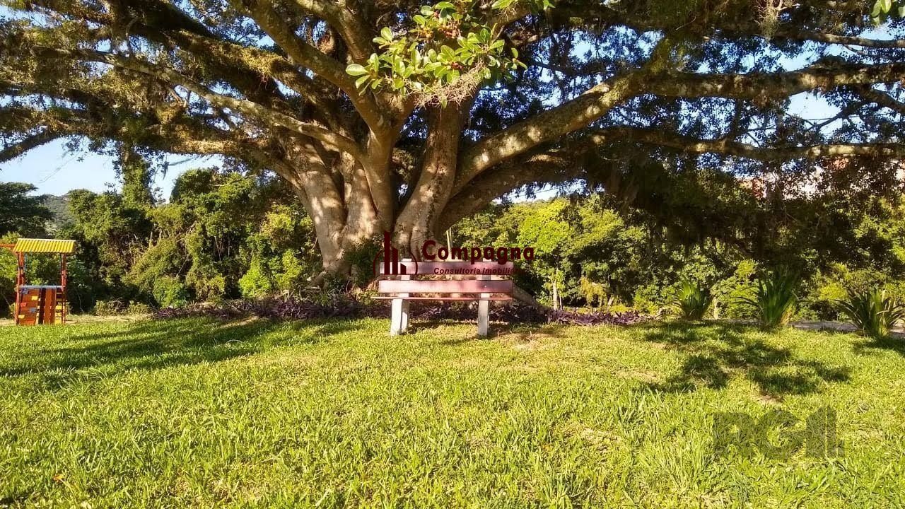 Terreno à venda, Campo Novo - Porto Alegre — foto 3