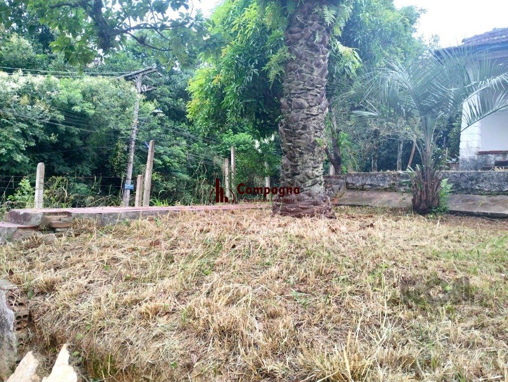 Terreno de 440m² no bairro Belém Novo — foto 2