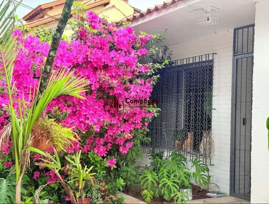 Casa com 3 dormitórios e edícula nos fundos no bairro Nonoai. — foto 3