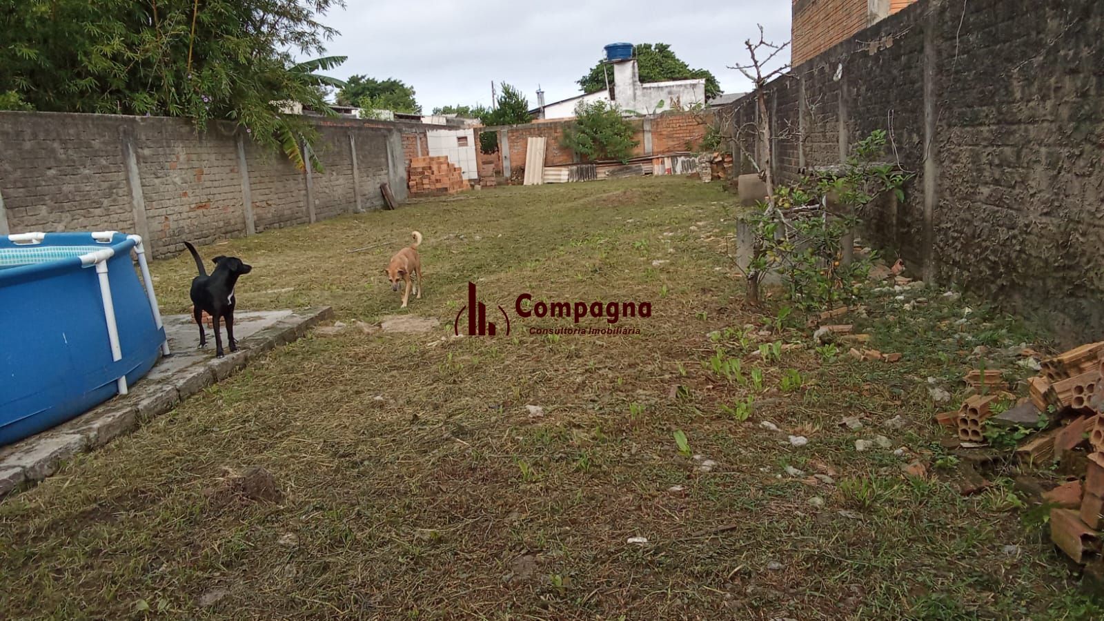 Casa de 3 dormitórios  a Venda no Bairro Ponta Grossa - Porto Alegre — foto 5