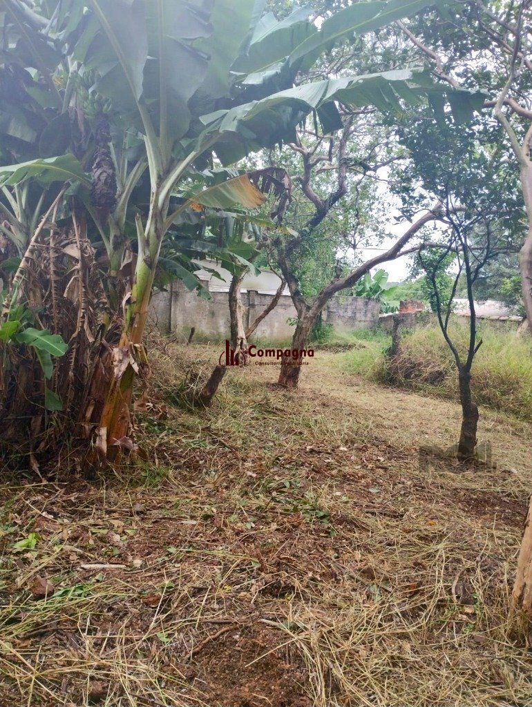 Terreno de 440m² no bairro Belém Novo — foto 5