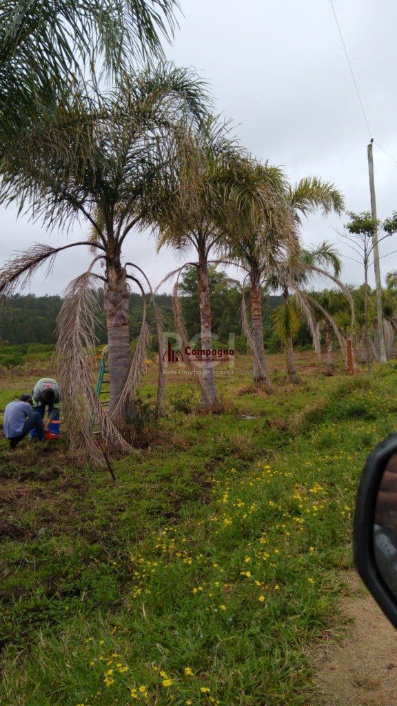 Area para Venda - 7787.1m², 0 dormitórios, Centro — foto 5