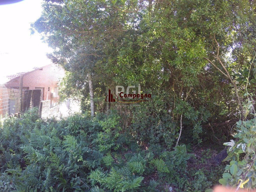 Terreno para Venda - 524.4m², 0 dormitórios, Teresópolis — foto 3
