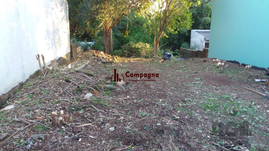 Terreno à venda, Glória - Porto Alegre — foto 2