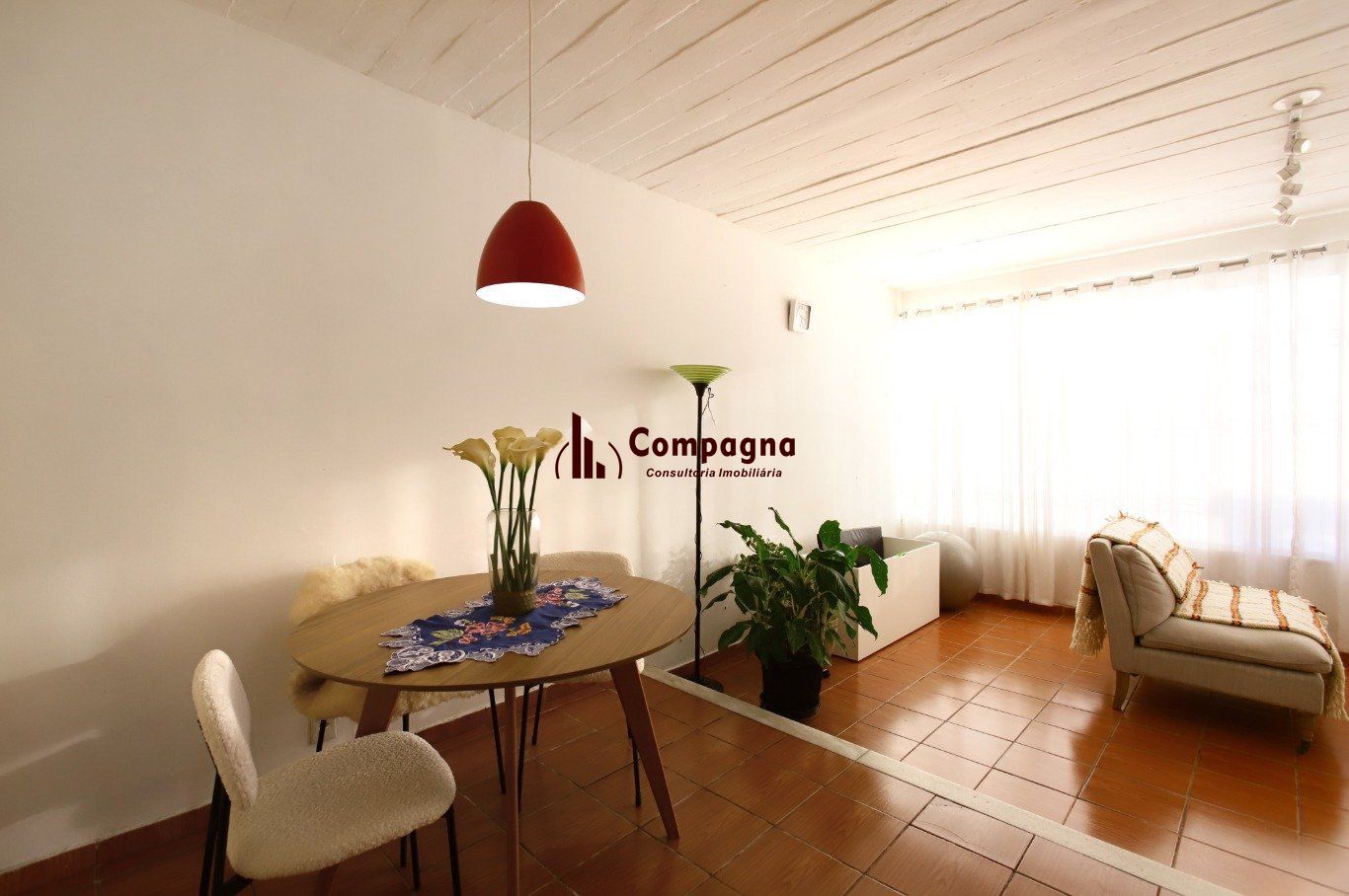 Casa com Edícula nos fundos, total de 5 dormitórios no Bairro gloria. — foto 5