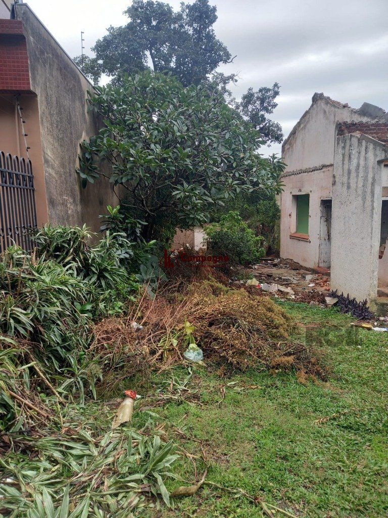 Terreno à venda, 594m², Santa Tereza - Porto Alegre — foto 3