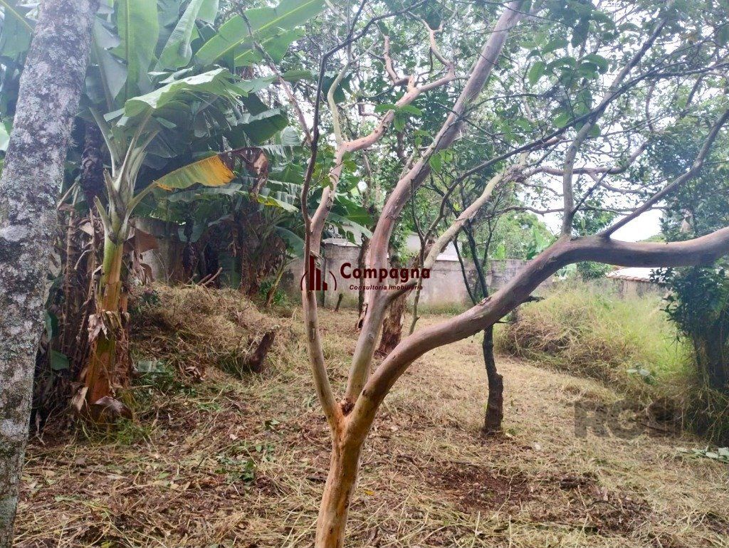 Terreno de 440m² no bairro Belém Novo — foto 4