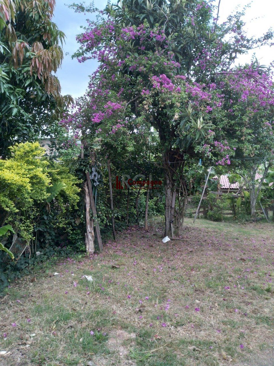 Casa 2 quartos à venda, 80m², Belém Novo - Porto Alegre — foto 4