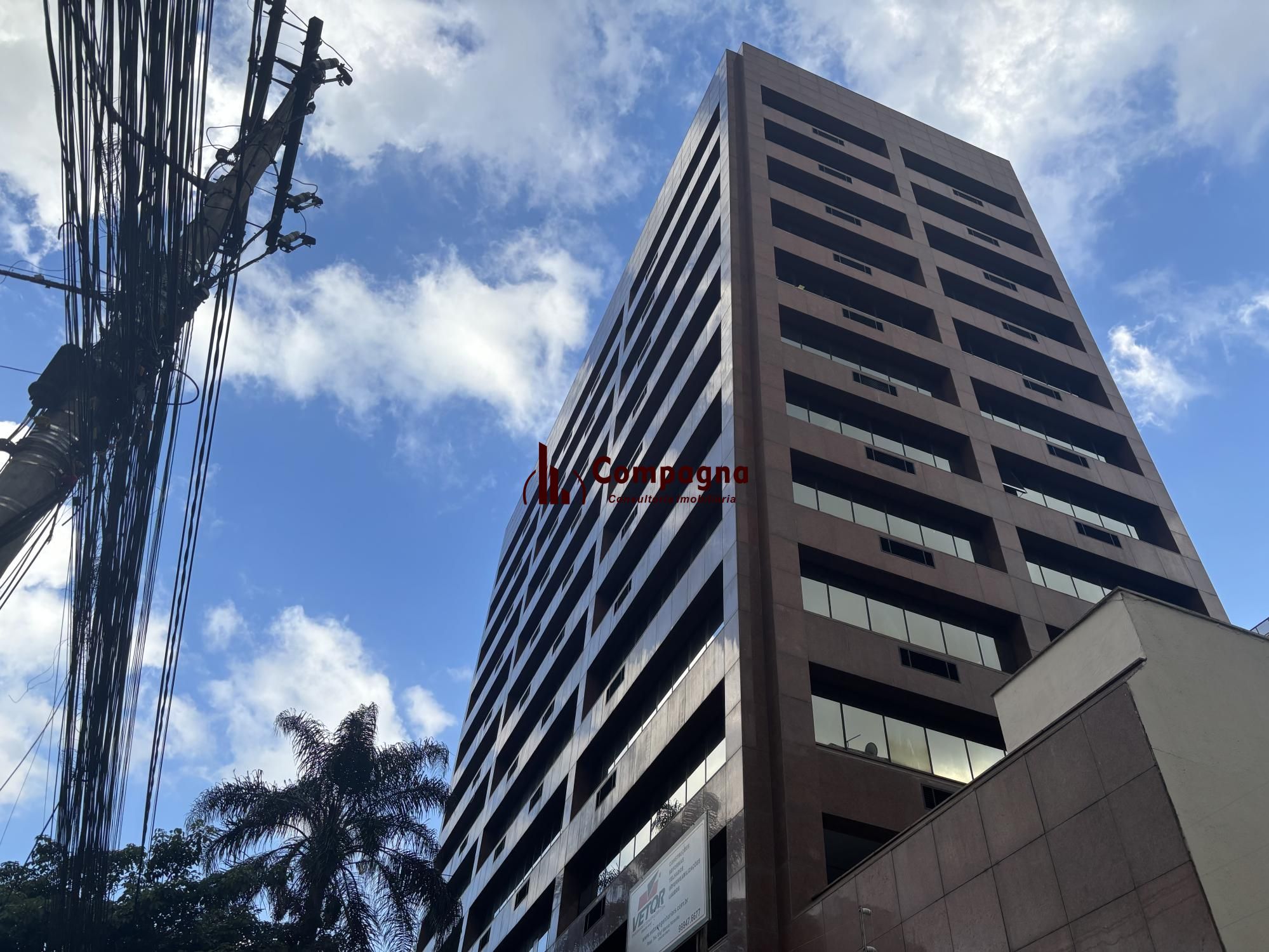 Vende 7 salas com área privativa de 308,67m² no coração da nova Carlos Gomes — foto 3