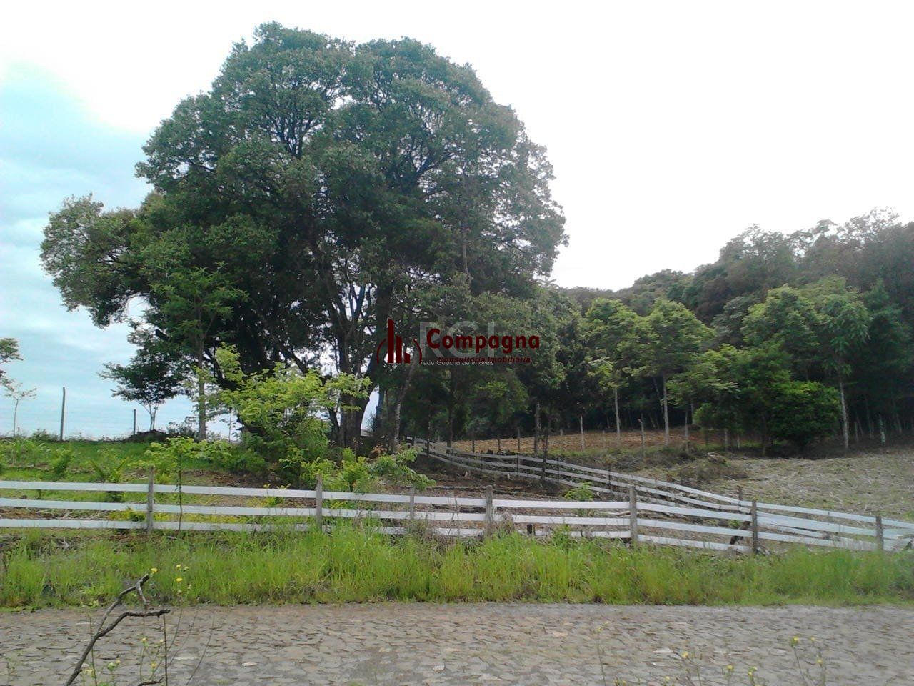 Geminado 2 quartos à venda, 2337m², Centro - Barão de Cotegipe — foto 2